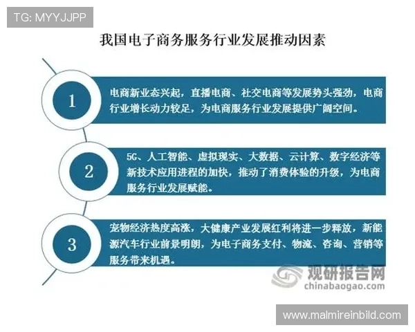 探索PA电子平台在现代电子商务中的应用与发展趋势分析 探索PA电子平台在现代电子商务中的应用与发展趋势分析