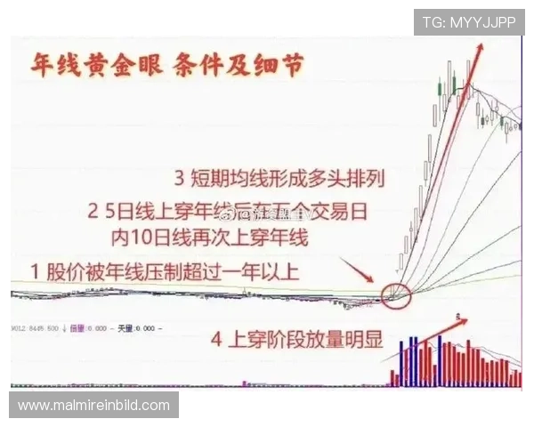 深度解析ag现金网电投网的资金管理策略,帮助您稳健盈利 深度解析ag现金网电投网的资金管理策略,帮助您稳健盈利