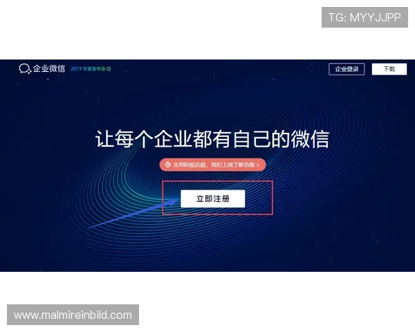 ag登录大厅会员注册后如何快速激活账号及安全设置