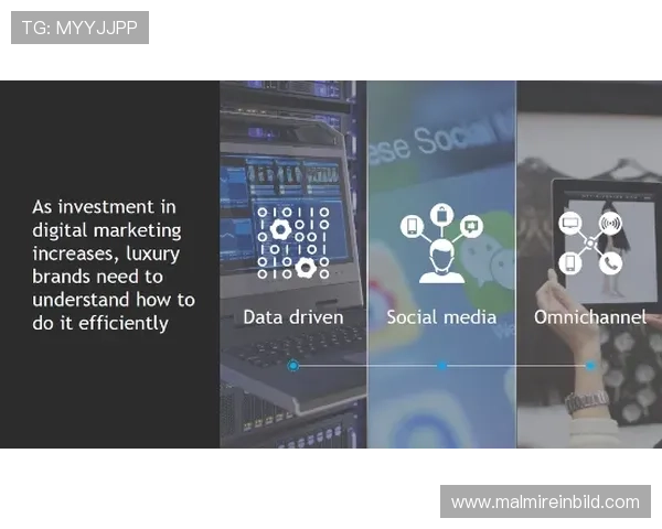 专家解读AG在线行业发展趋势，探索未来在线博彩市场的潜在机遇与挑战