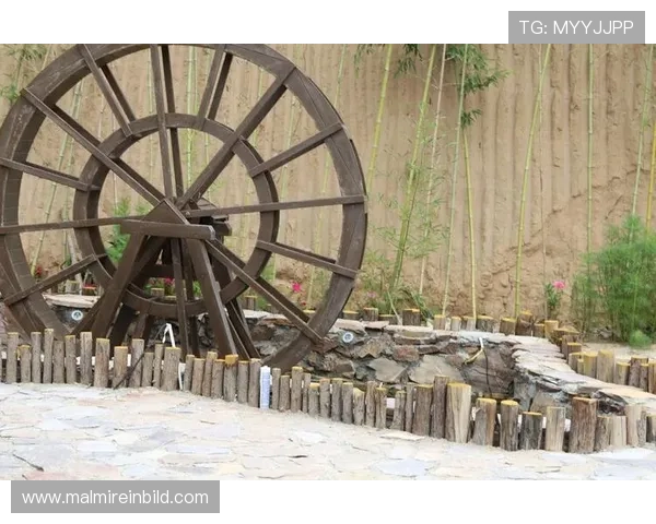 丽波真人测试与其他同类软件的对比分析,选择最适合你的游戏辅助工具